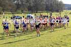 Senior womens 2023 NEHL, Thornley Farm, Peterlee, County Durham. Photo: David T. Hewitson/Sports for All Pics